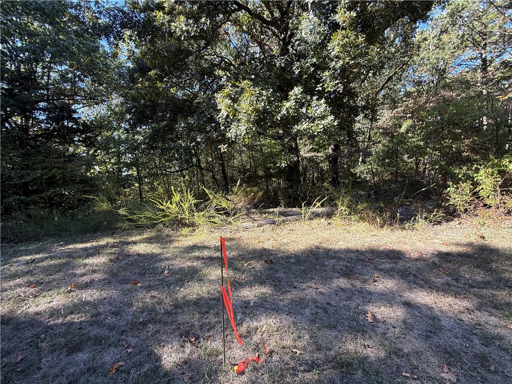 Tract A Silver Ridge Road