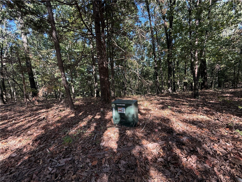 Tract A Silver Ridge Road