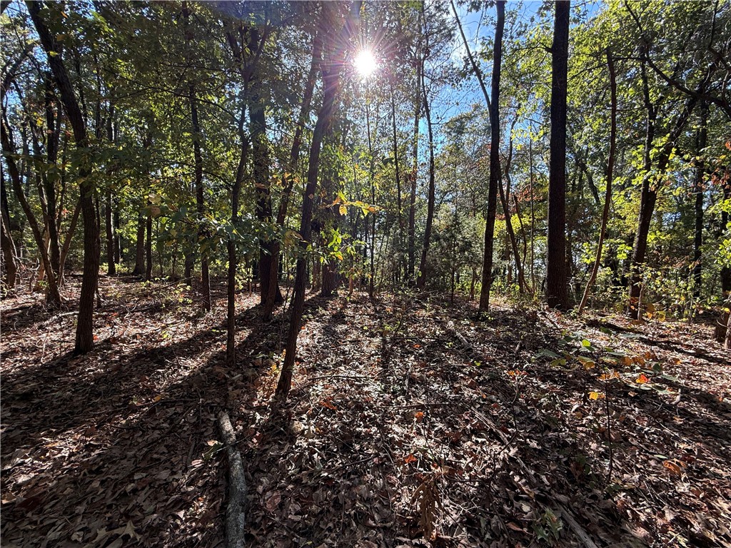 Tract A Silver Ridge Road