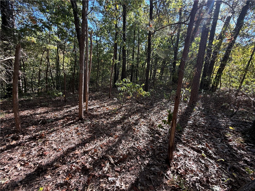 Tract- C Silver Ridge Road