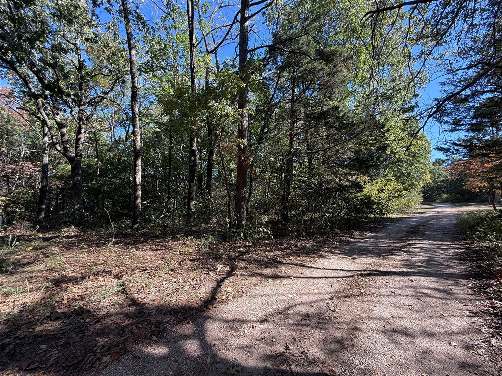 Tract- C Silver Ridge Road