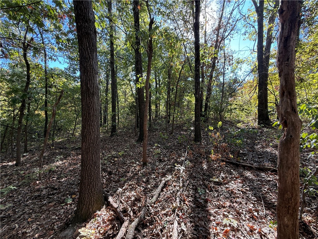 Tract- C Silver Ridge Road