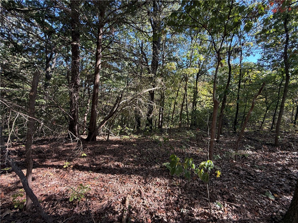Tract- C Silver Ridge Road