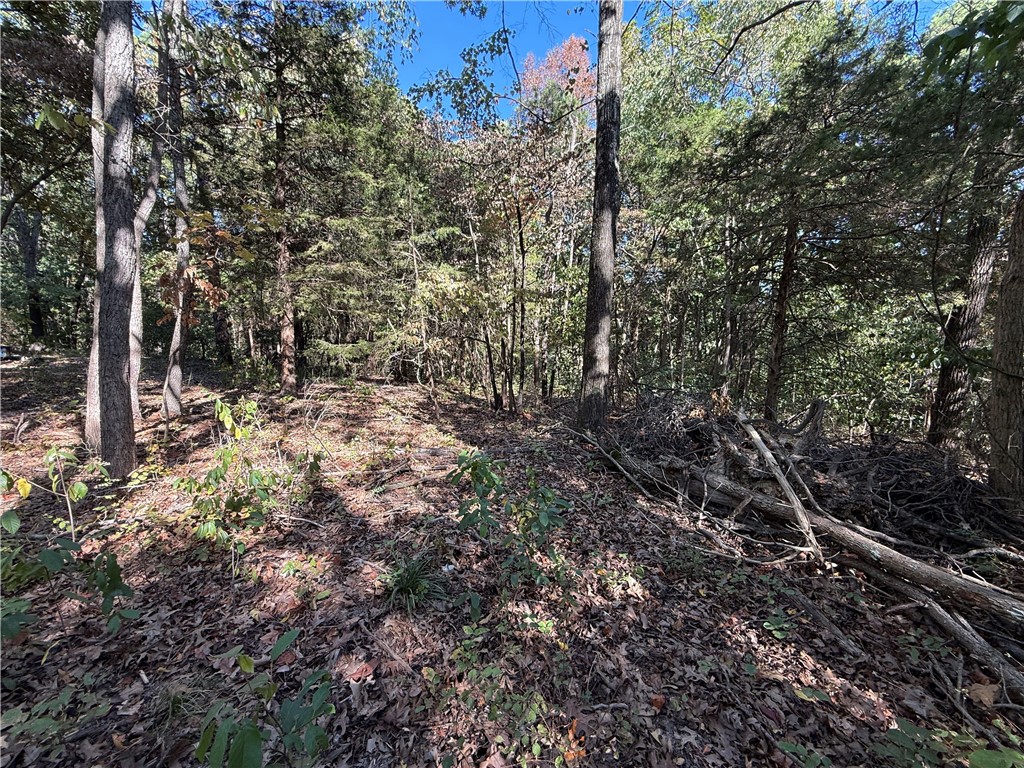 Tract- C Silver Ridge Road