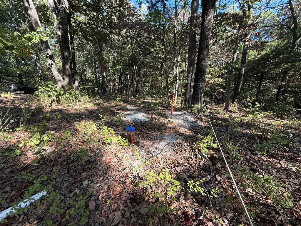 Tract- C Silver Ridge Road