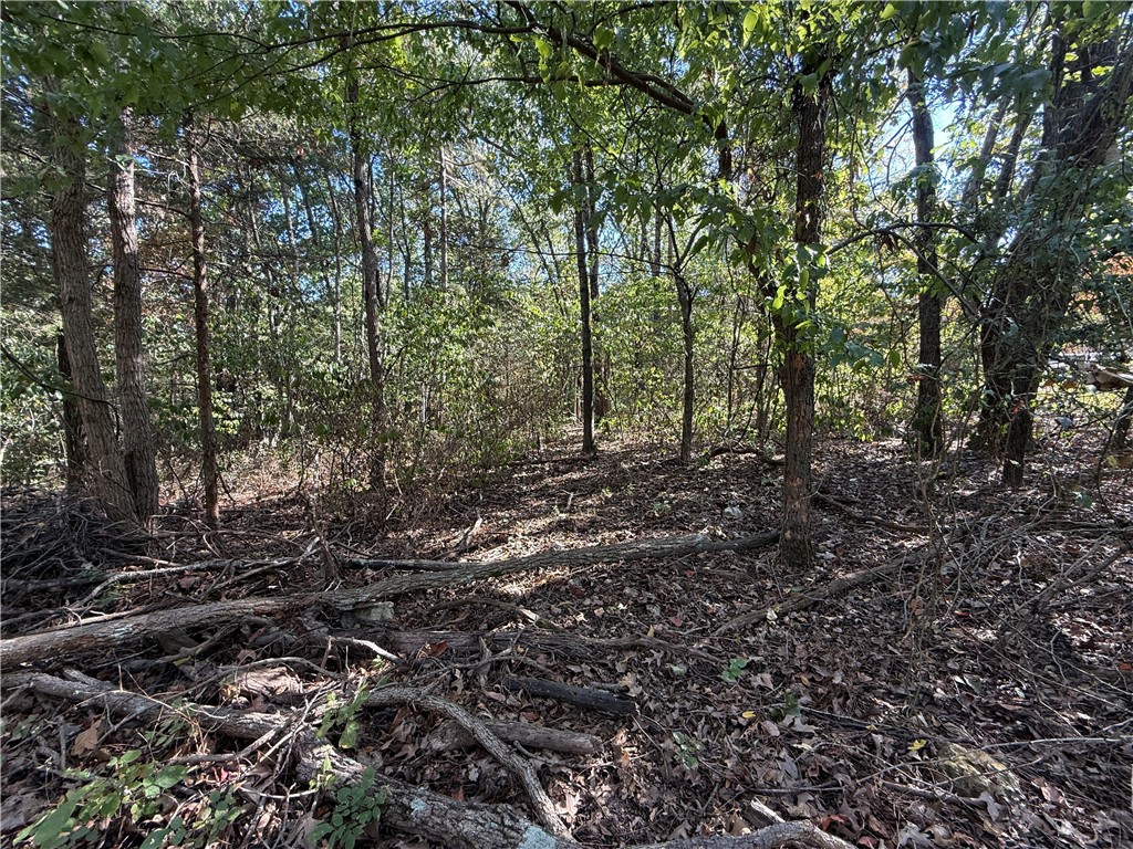 Tract- C Silver Ridge Road