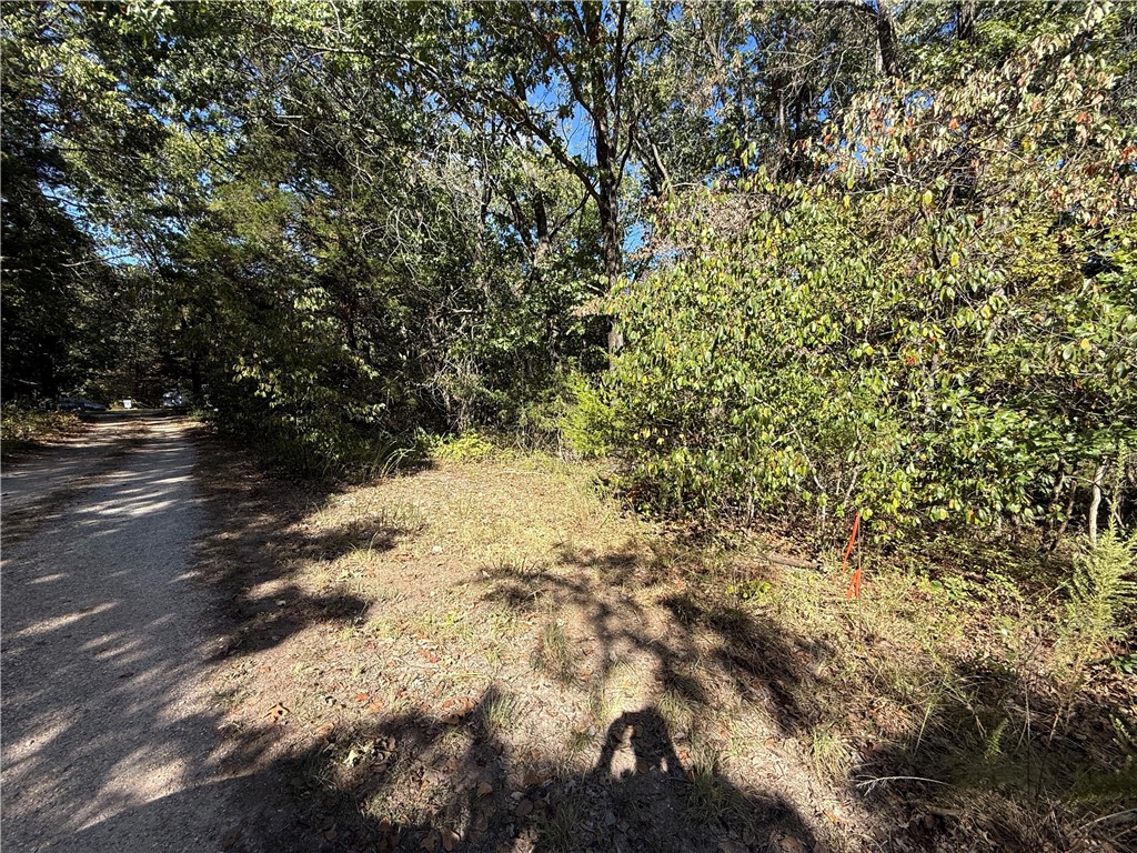 Tract- C Silver Ridge Road
