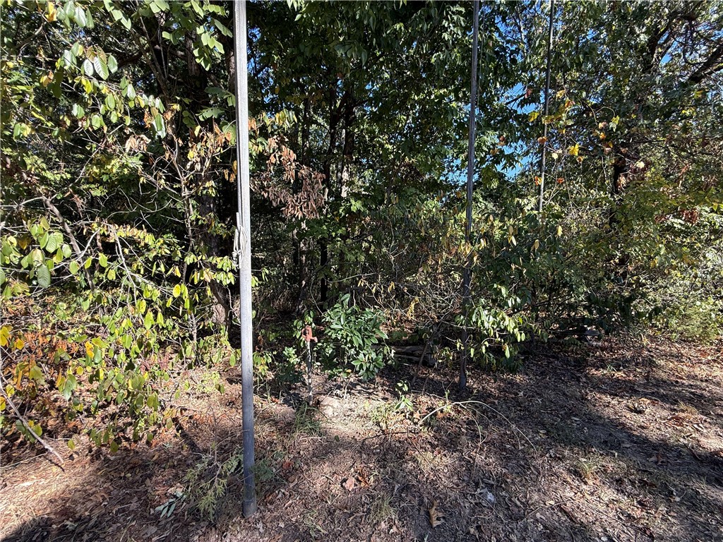 Tract D Silver Ridge Road