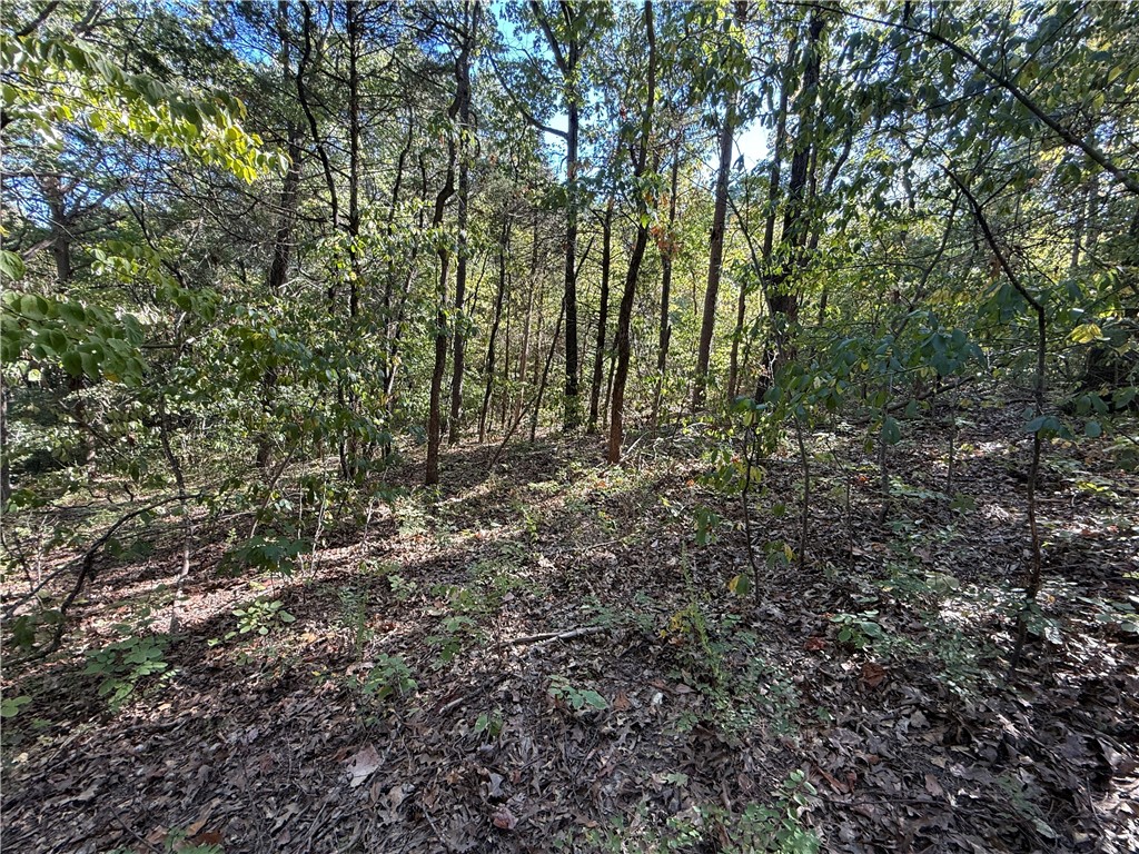 Tract D Silver Ridge Road