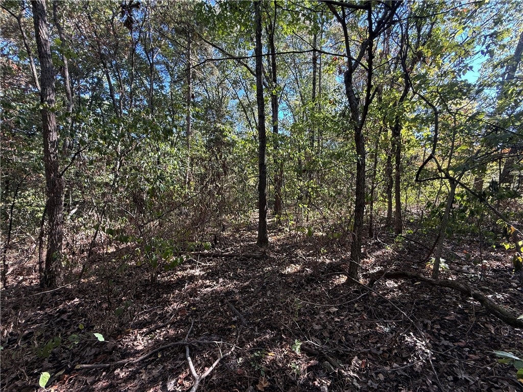 Tract D Silver Ridge Road