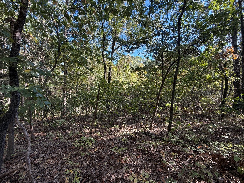 Tract D Silver Ridge Road