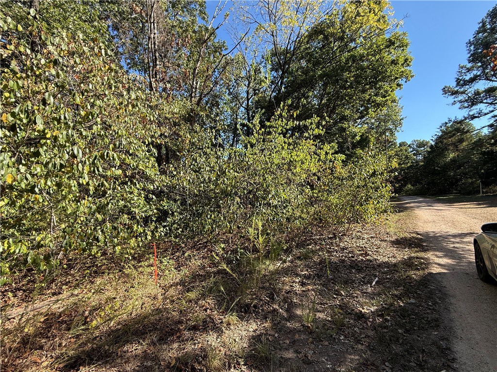 Tract D Silver Ridge Road