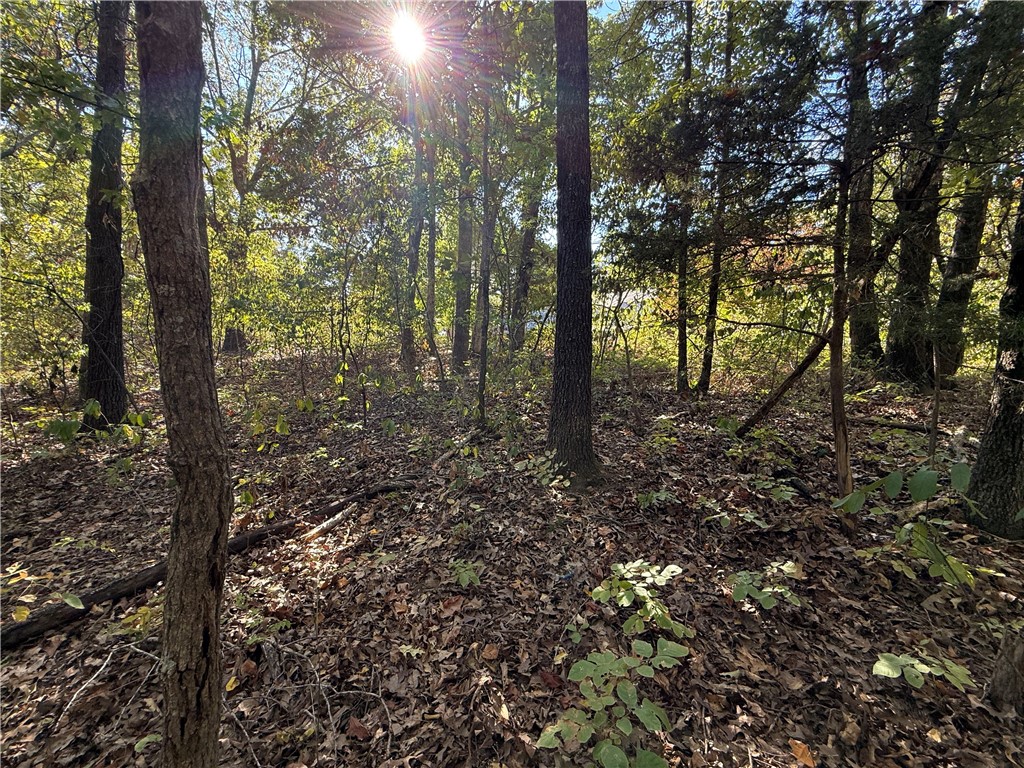 Tract D Silver Ridge Road
