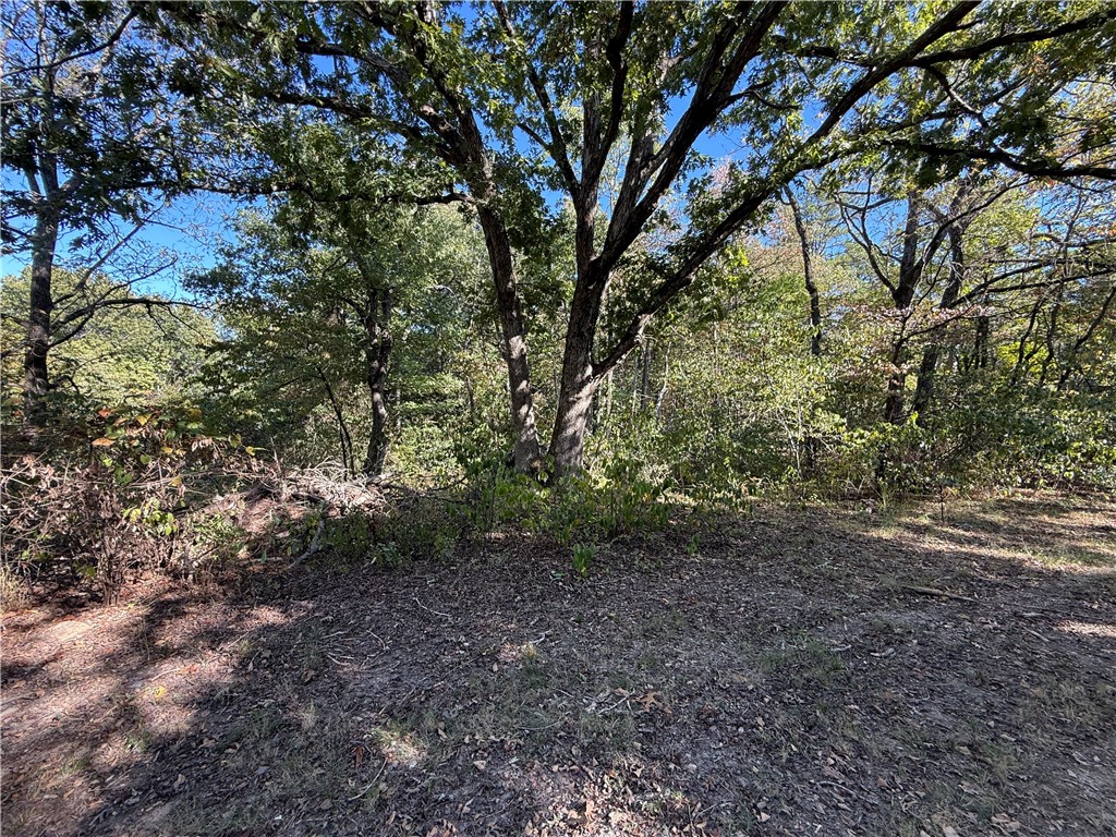 Tract D Silver Ridge Road