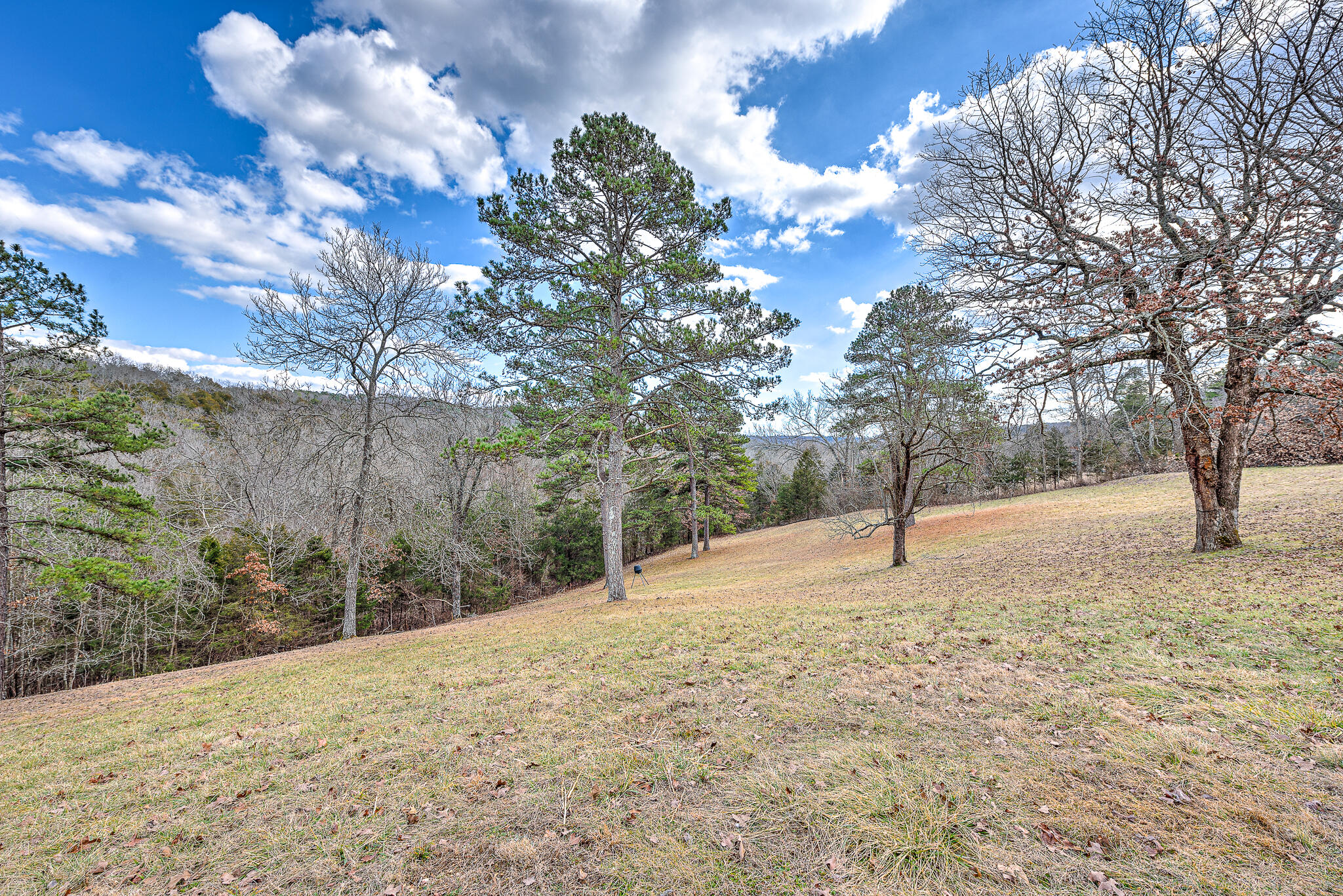 563 County Road 301