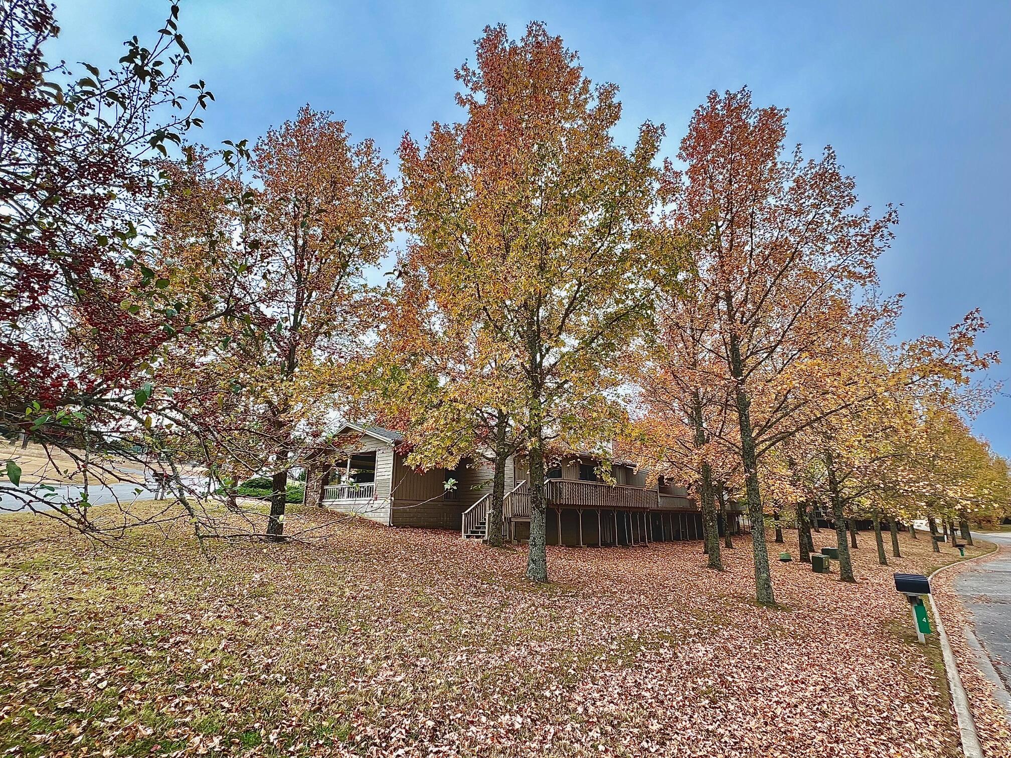 3 Appaloosa Drive Drive