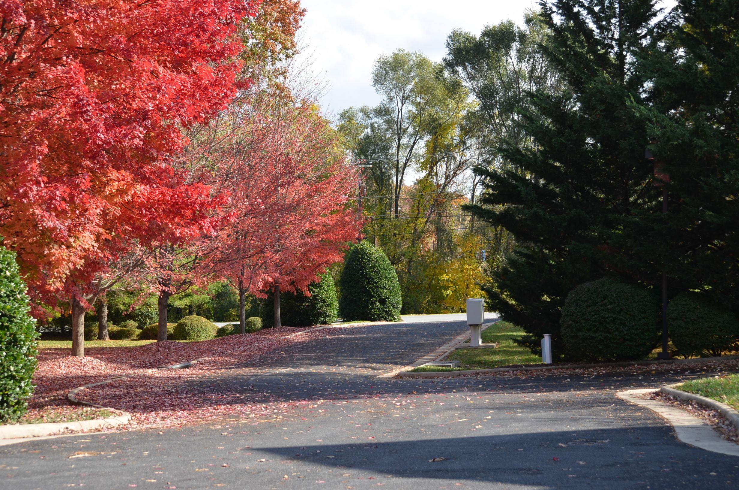 1410 N COALTER ST Unit: 101