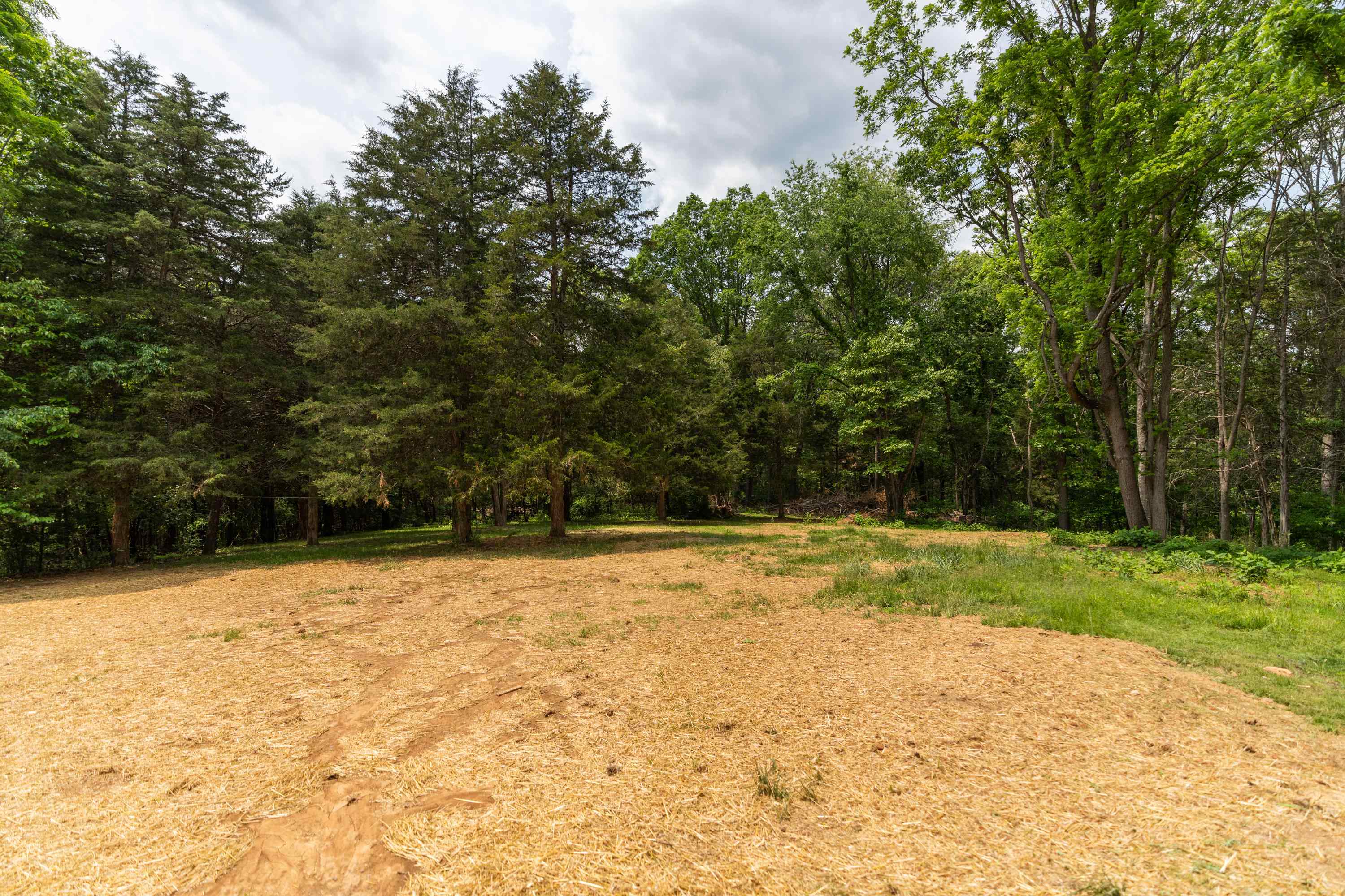 167 RAINTREE RD