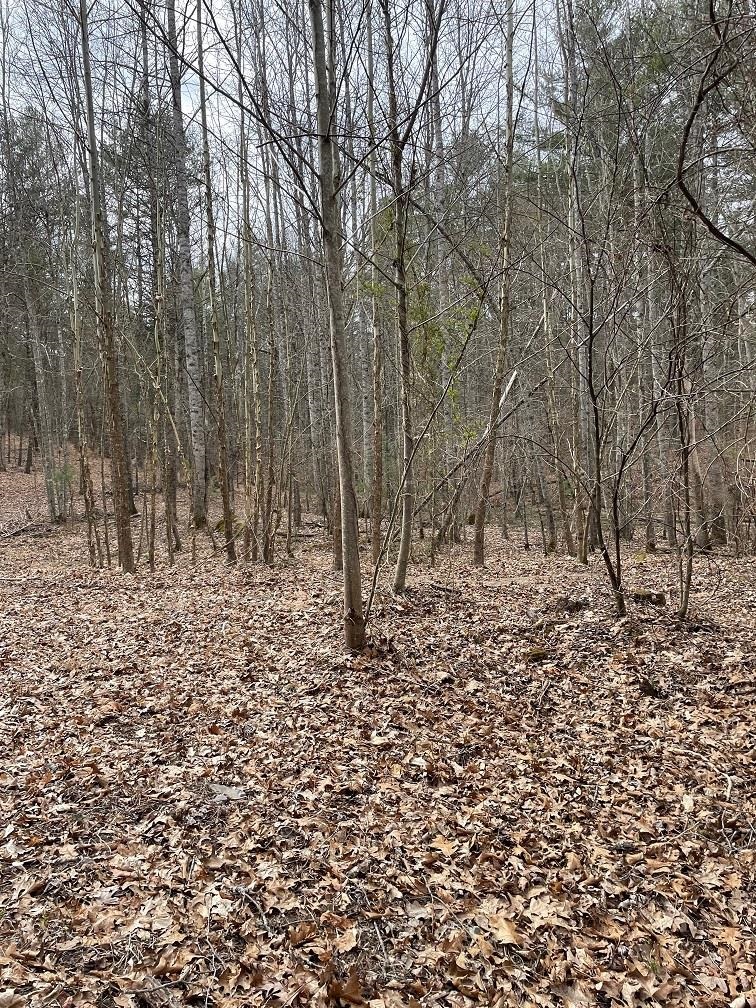 70-131 ESTALINE VALLEY RD