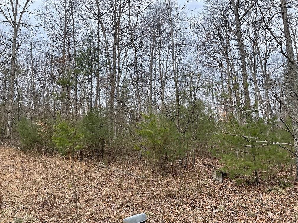 70-131 ESTALINE VALLEY RD