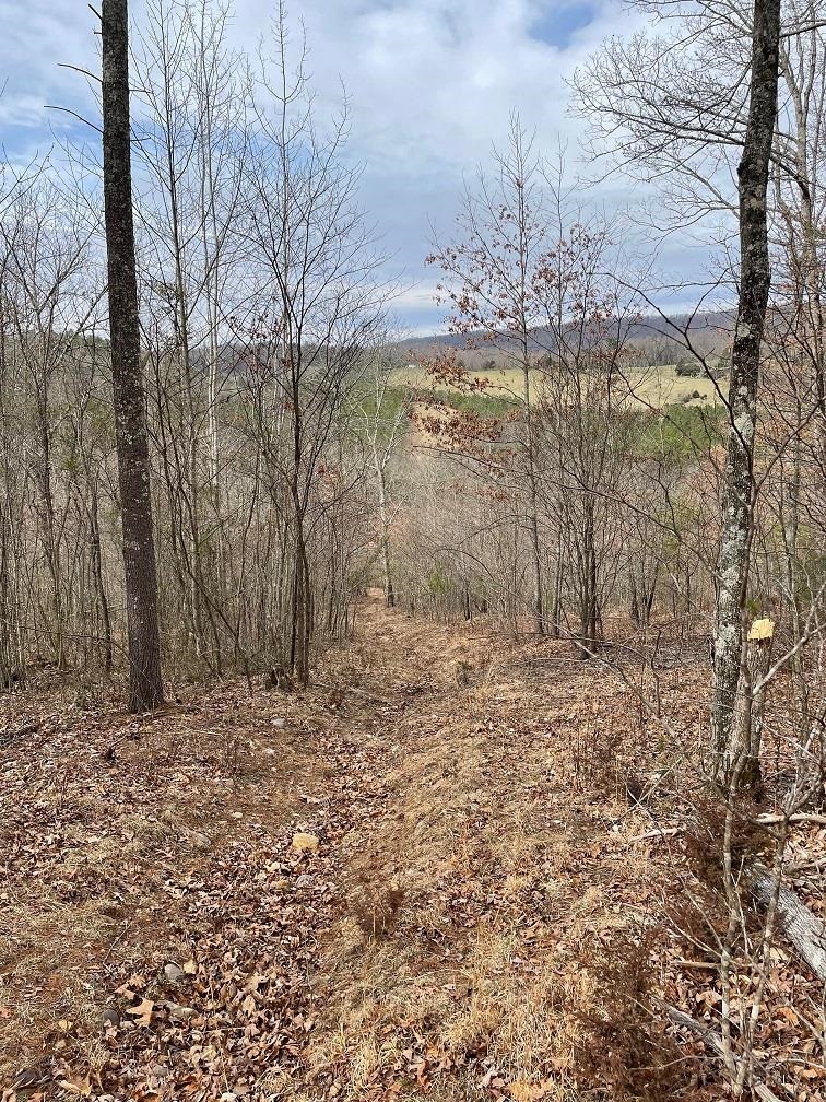 70-131 ESTALINE VALLEY RD