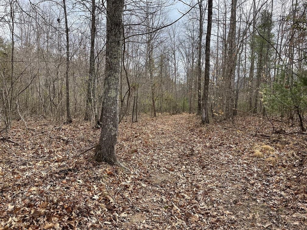 70-131 ESTALINE VALLEY RD