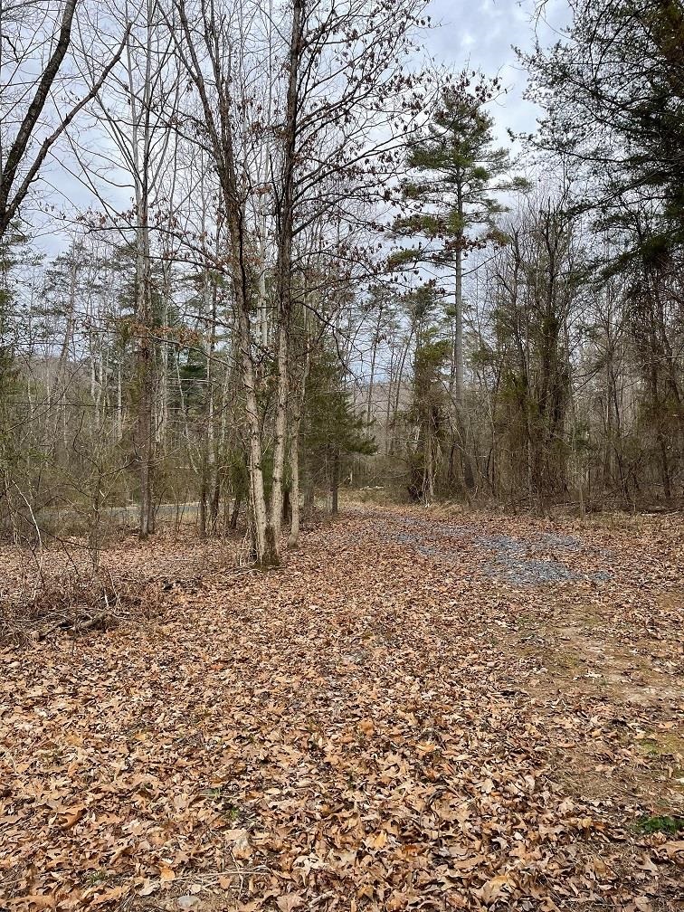 70-131 ESTALINE VALLEY RD