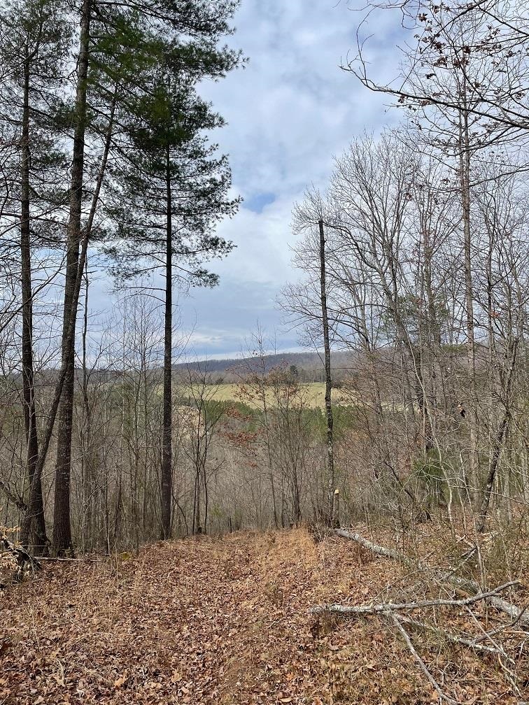 70-131 ESTALINE VALLEY RD