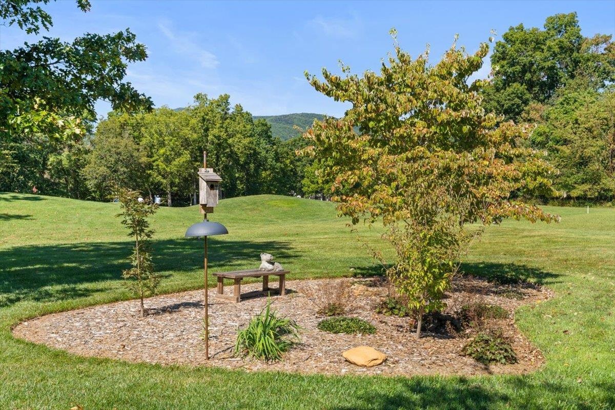 21 BLACK WALNUT DR