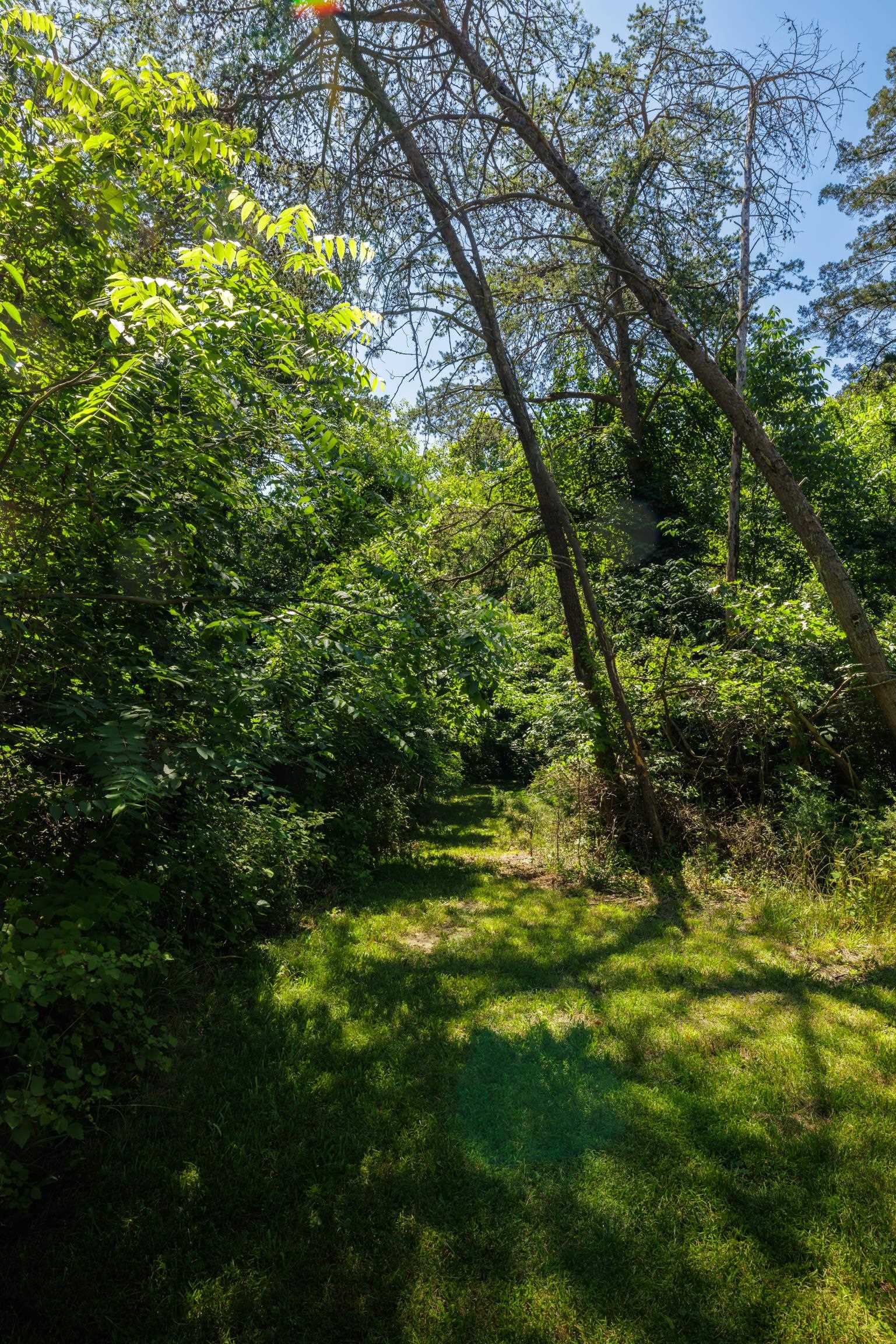 1704 LEE JACKSON HWY