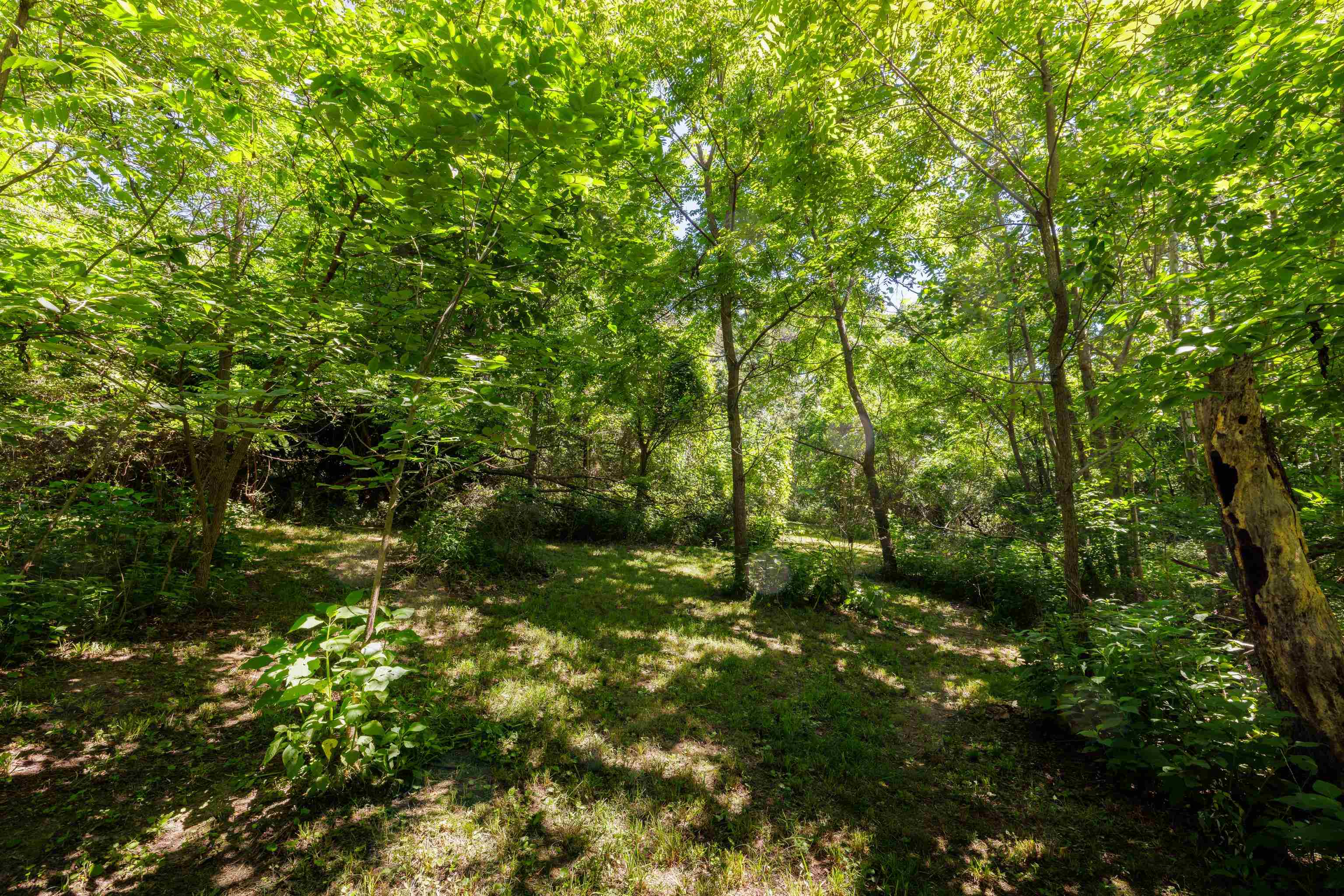 1704 LEE JACKSON HWY