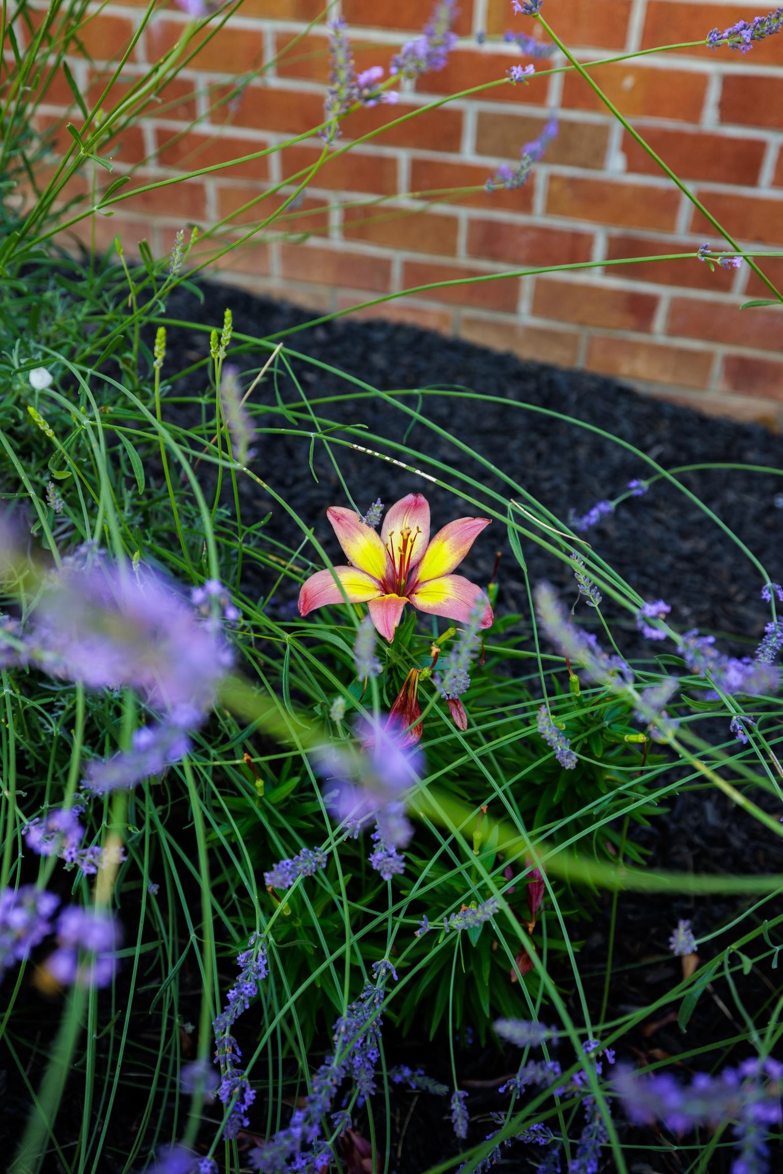 1704 LEE JACKSON HWY