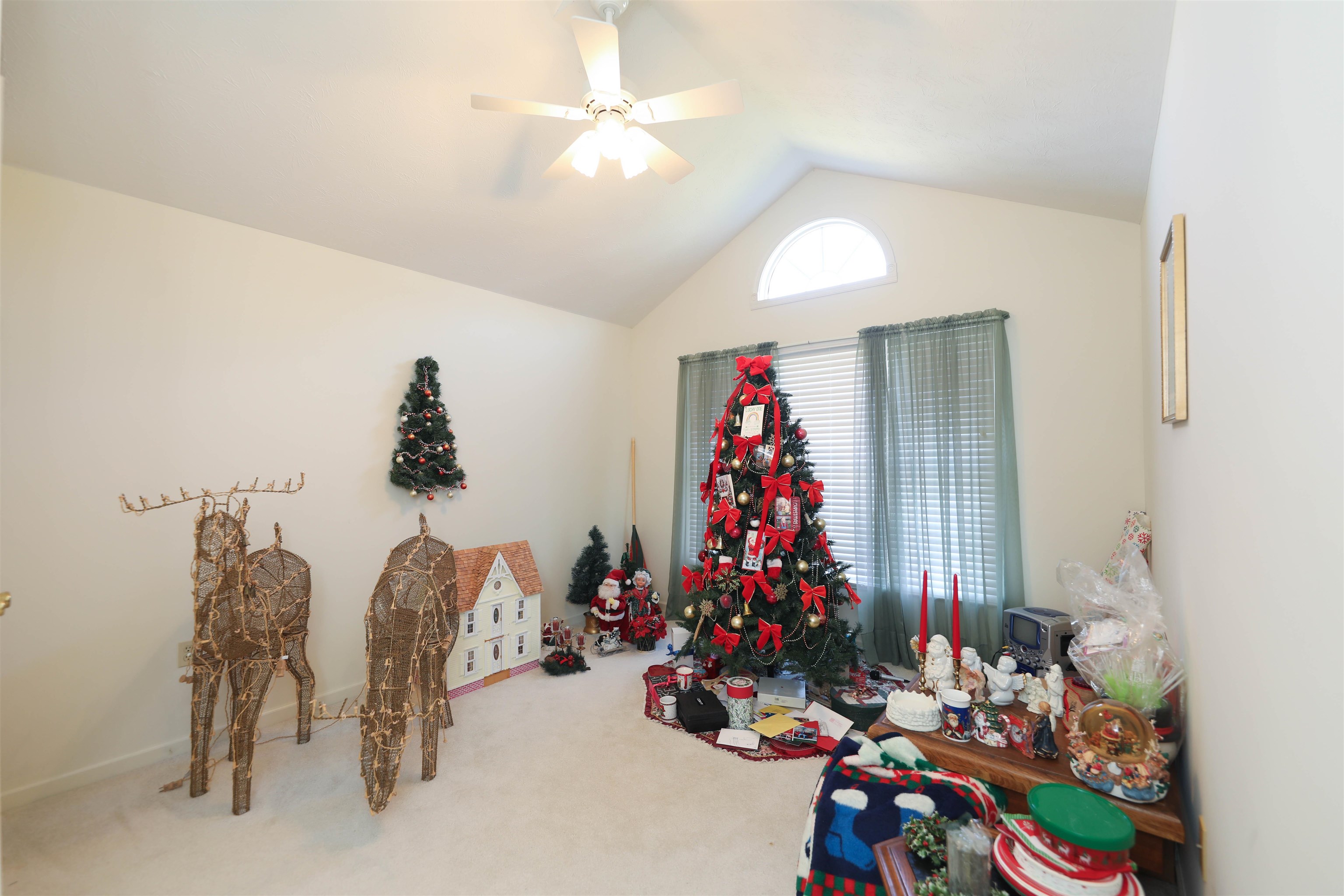 229 ARROWHEAD LN