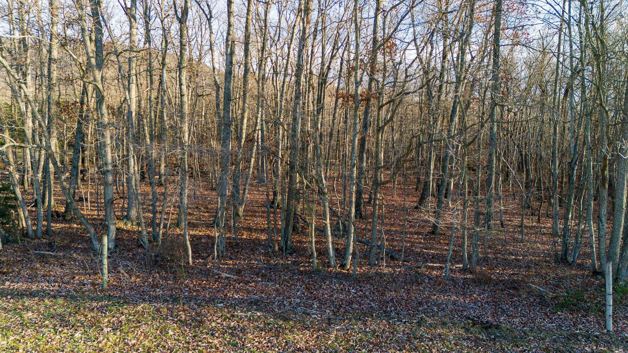 TBD ROCK MOUNTAIN LN