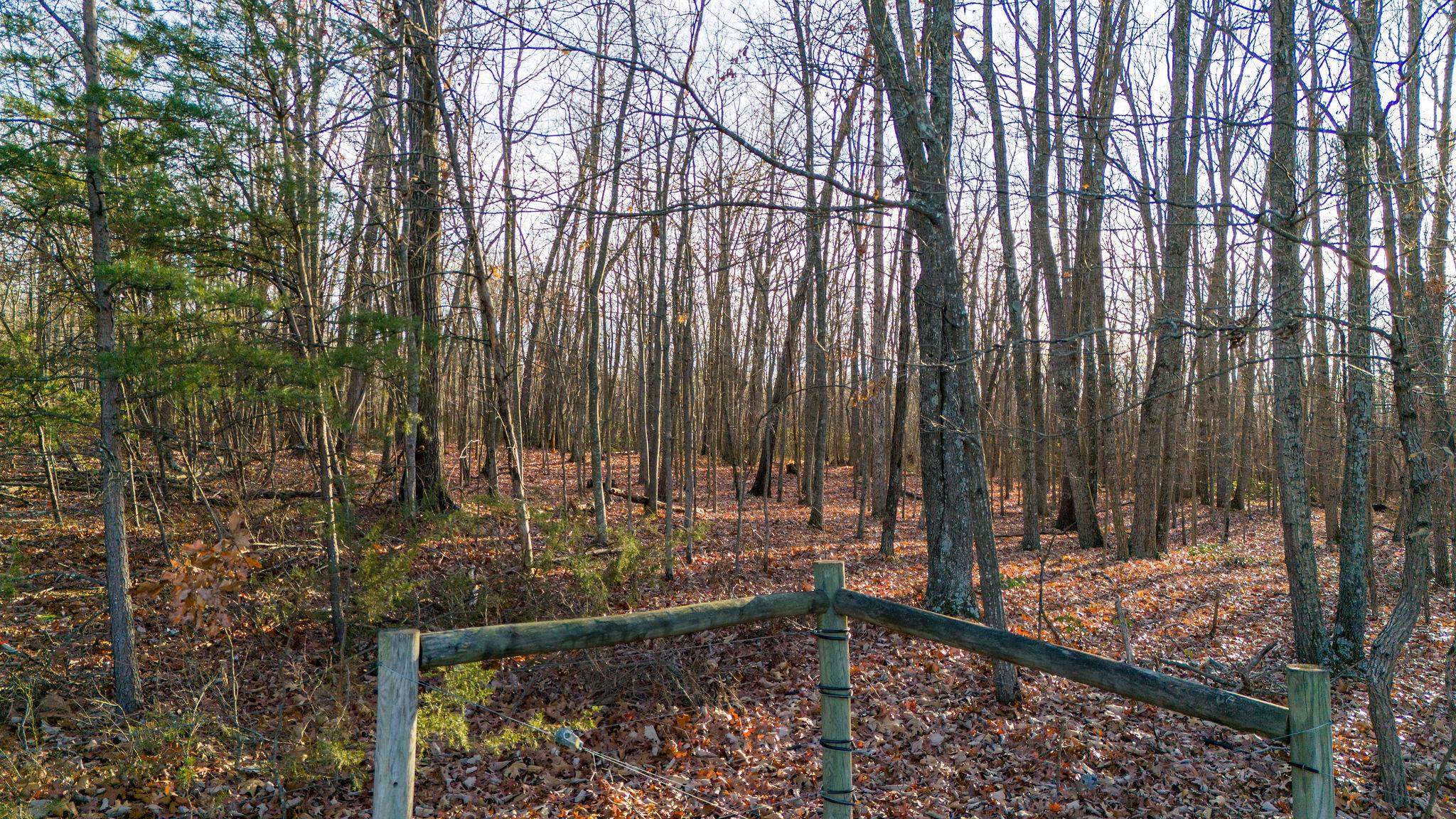 TBD ROCK MOUNTAIN LN