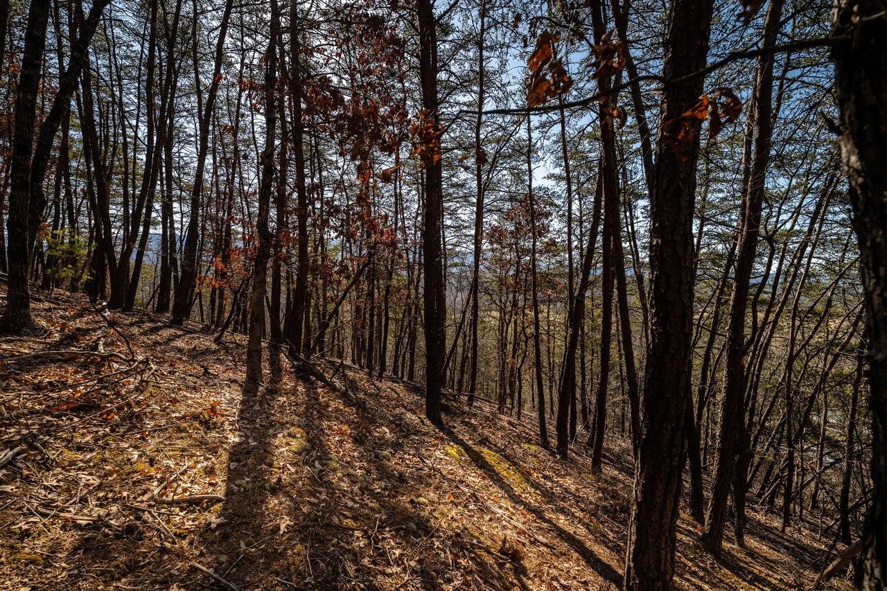 2077 DEERFIELD VALLEY RD