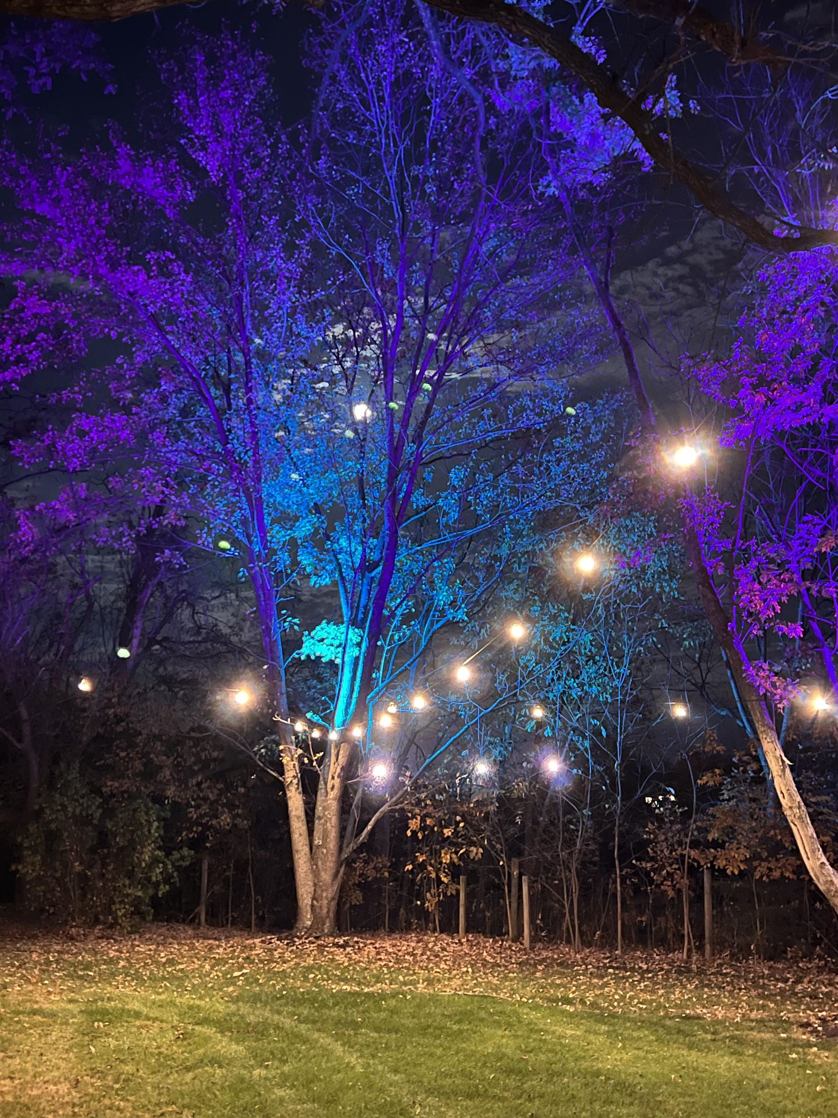 1985 BARREN RIDGE RD