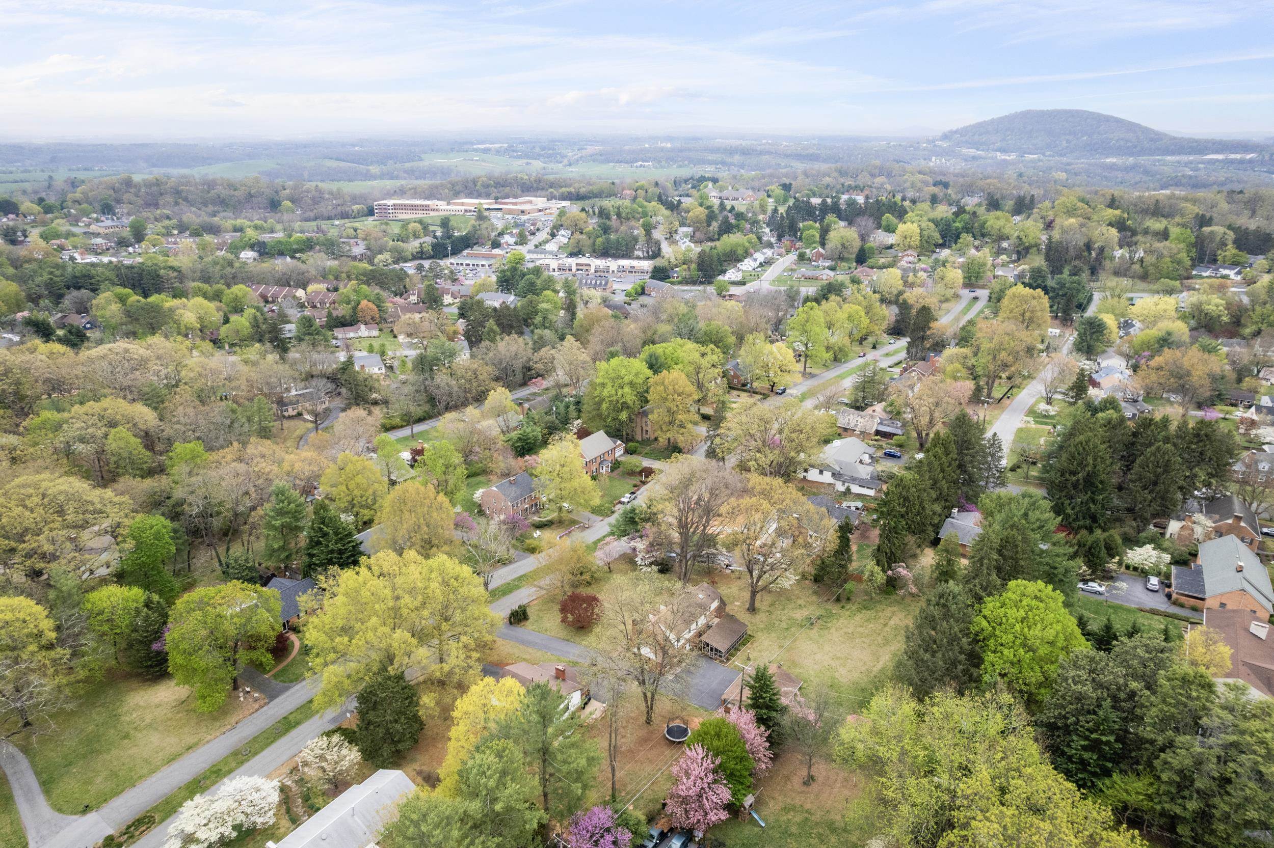 50 WOODLAND DR