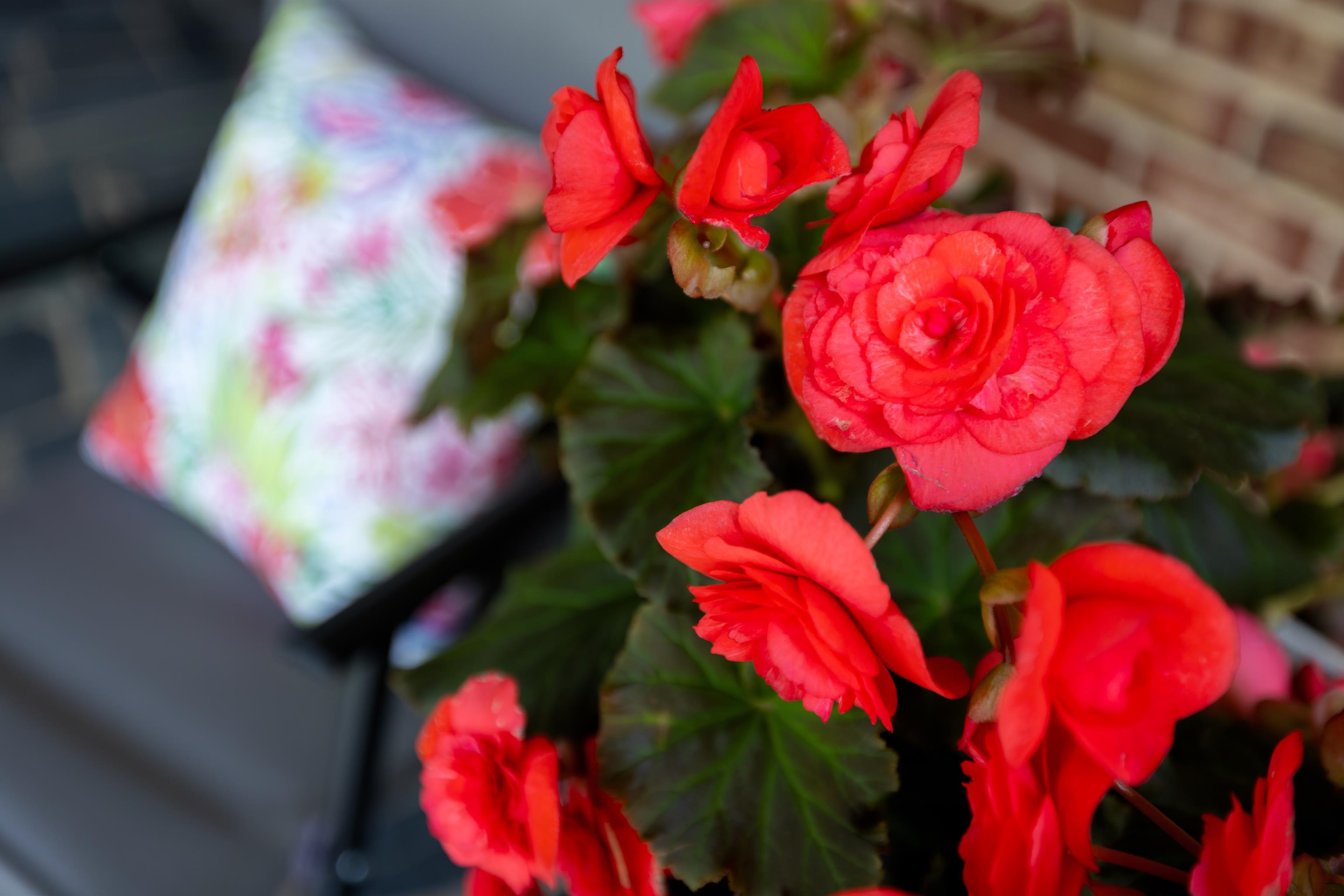 1515 RED TOP ORCHARD RD