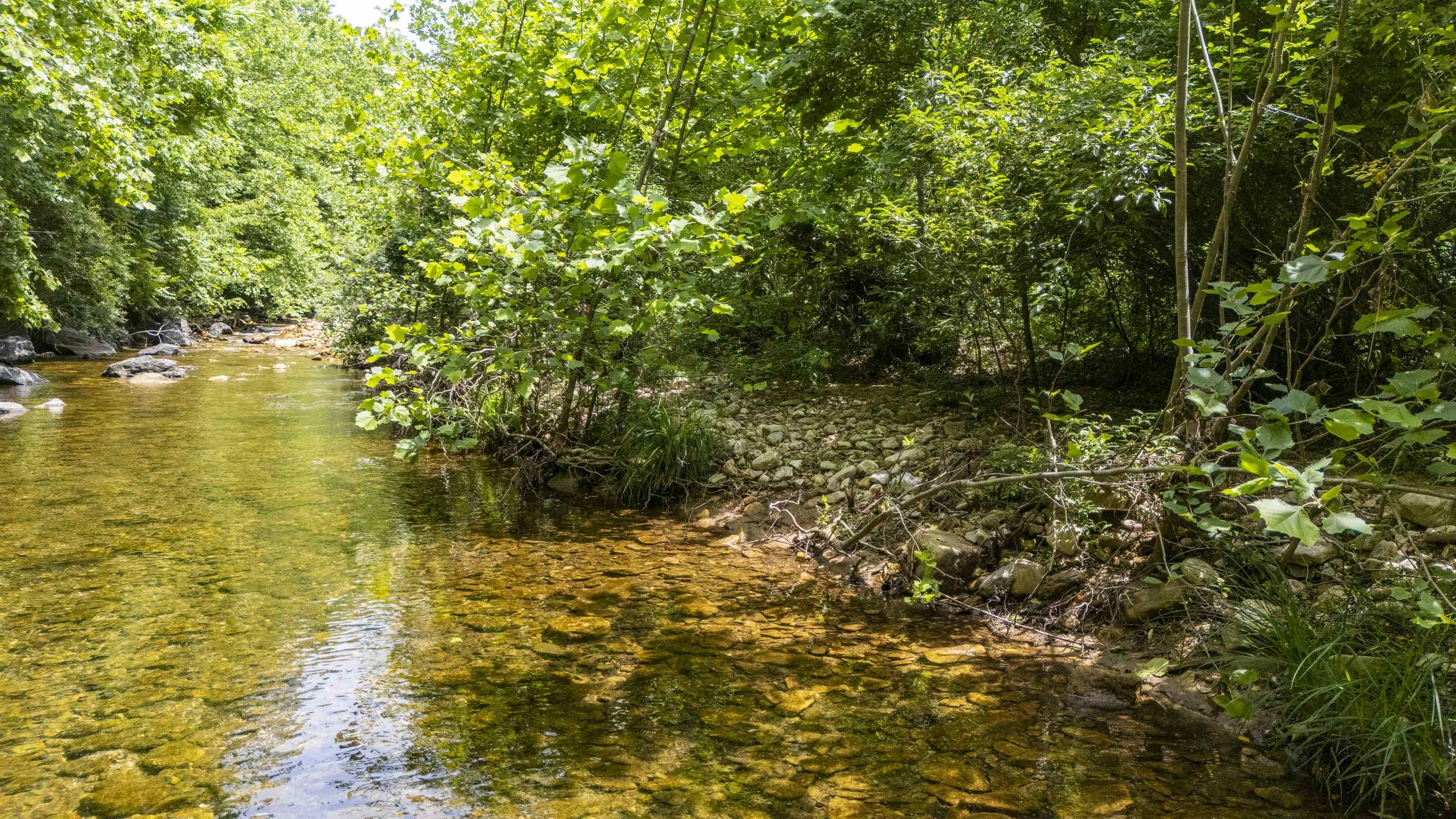35 S BOTTOM RD