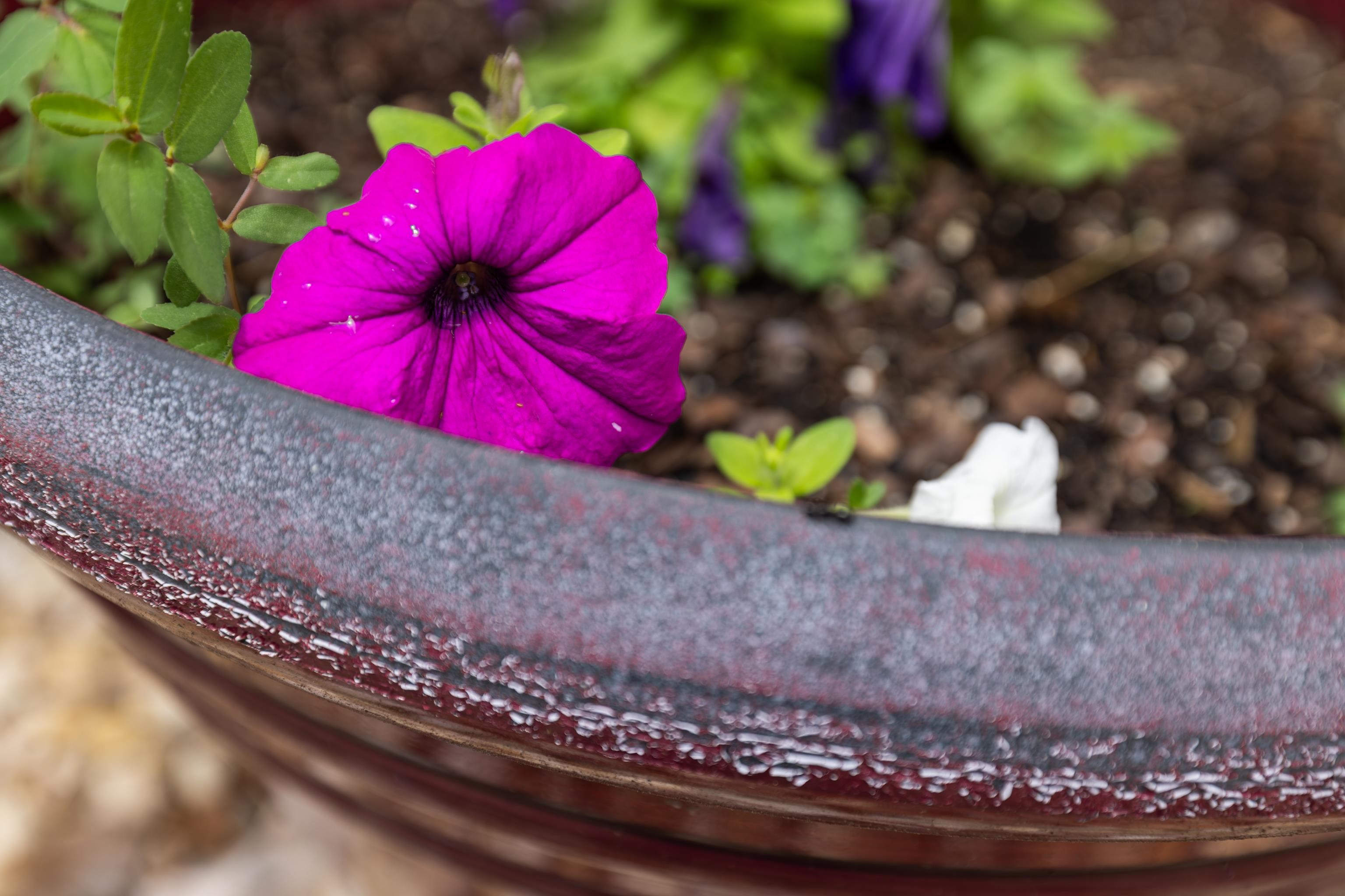 1653 LITTLE RIVER RD