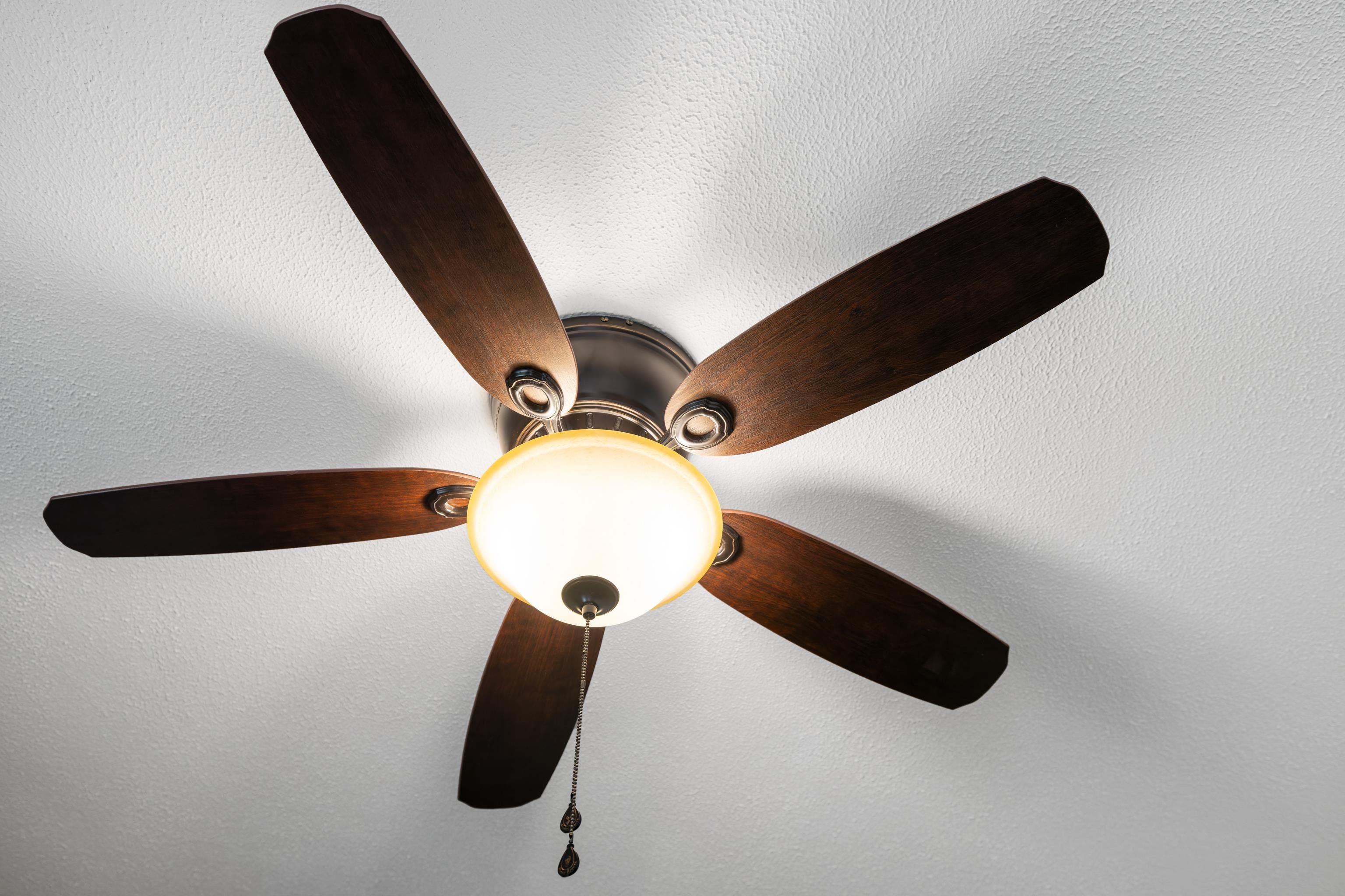 1653 LITTLE RIVER RD