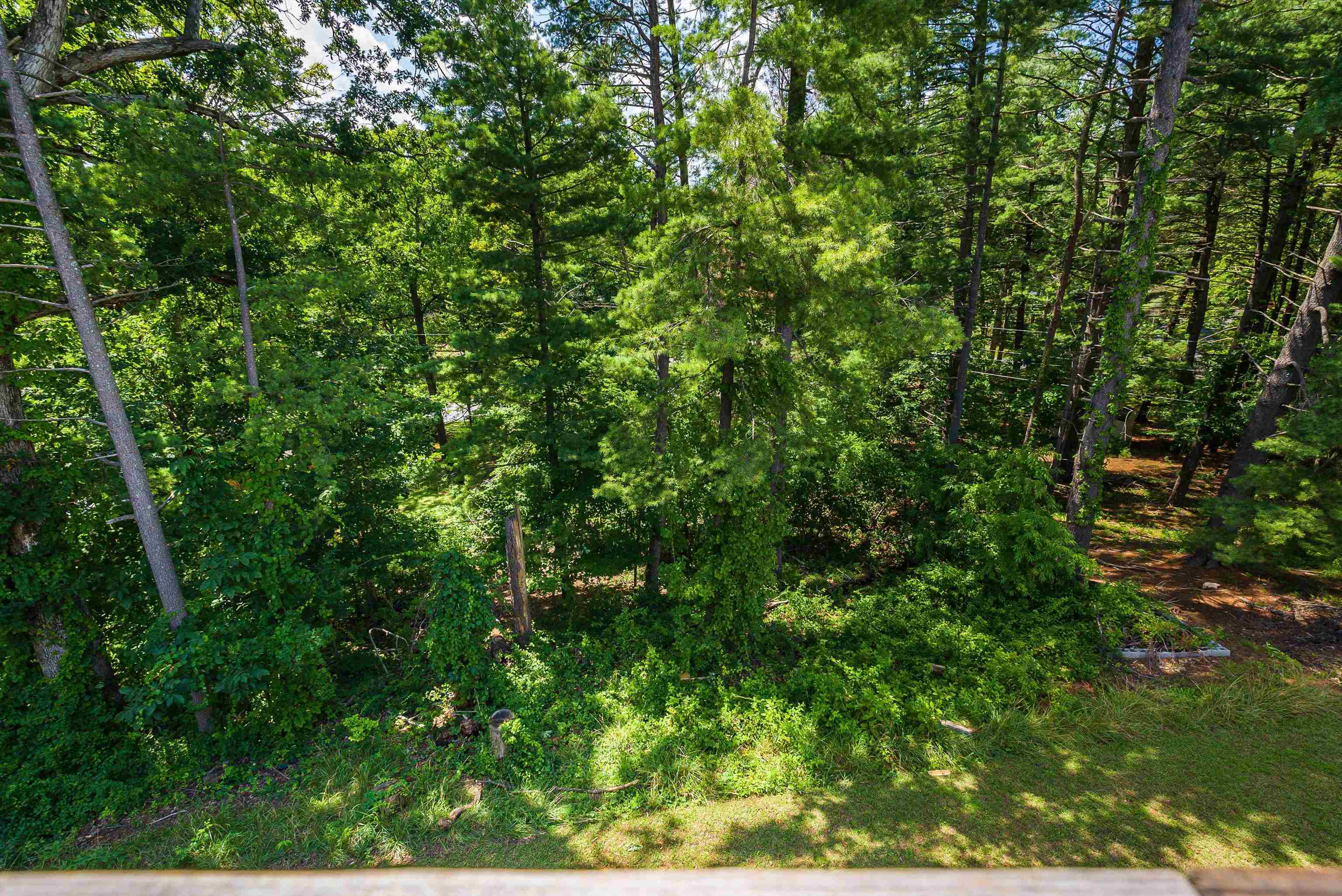 2426 PINEHILL CIR