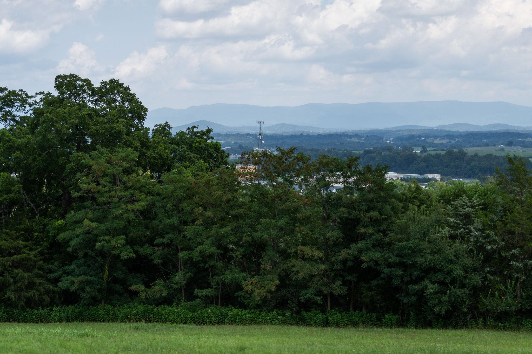 203 STONEWALL JACKSON BLVD