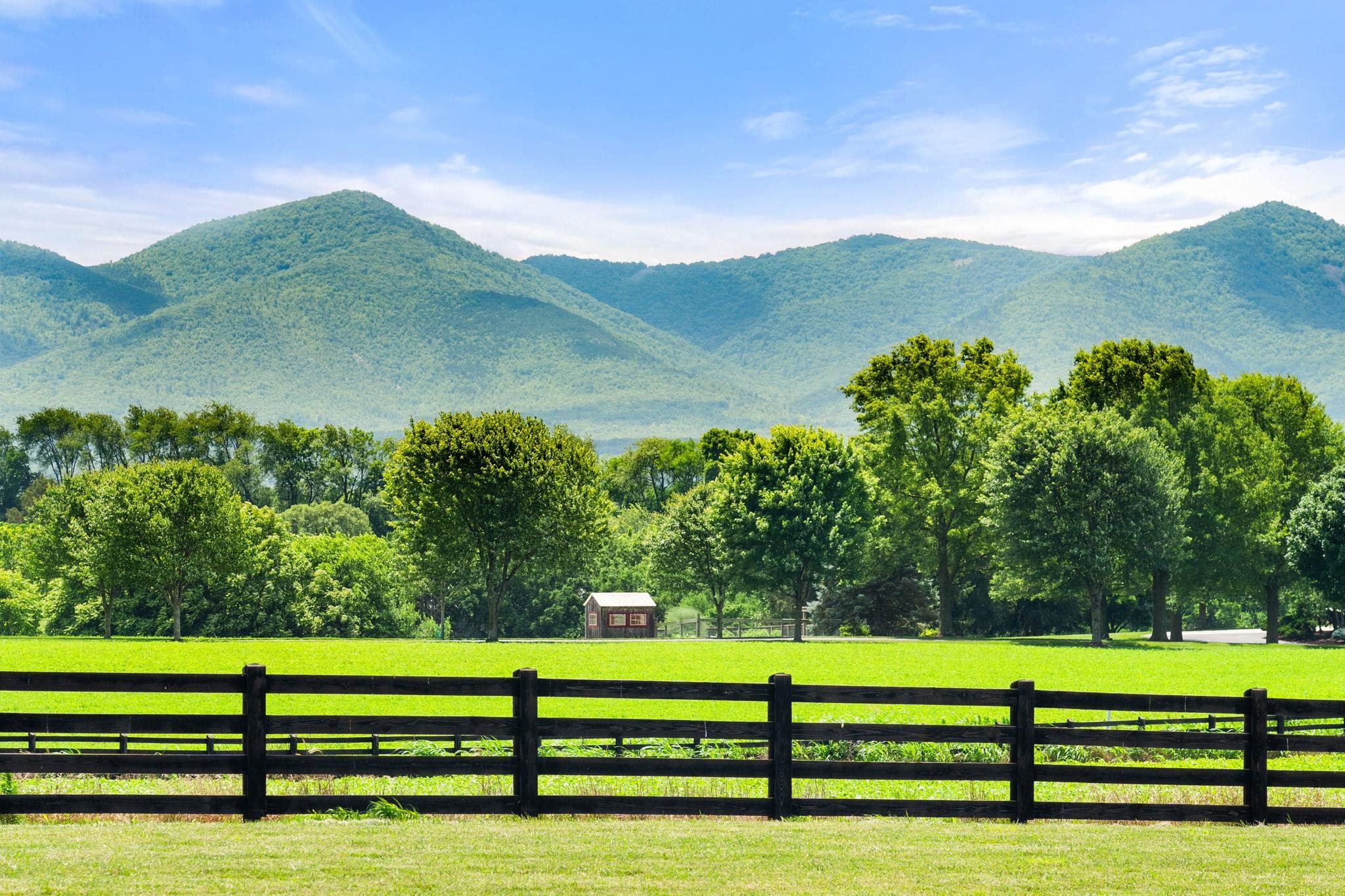 1614 THREE SPRINGS RD