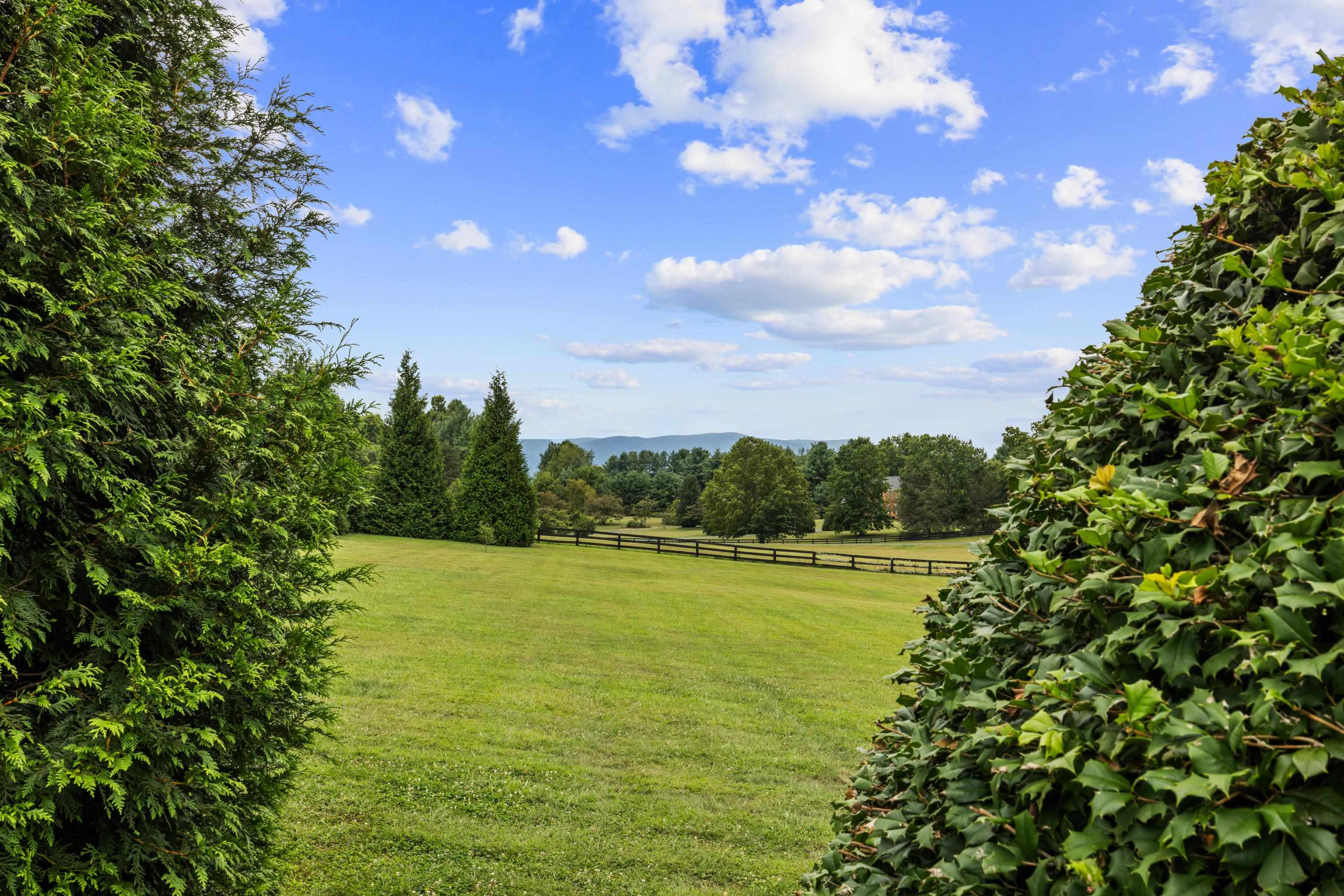 125 WARREN OAKS LN