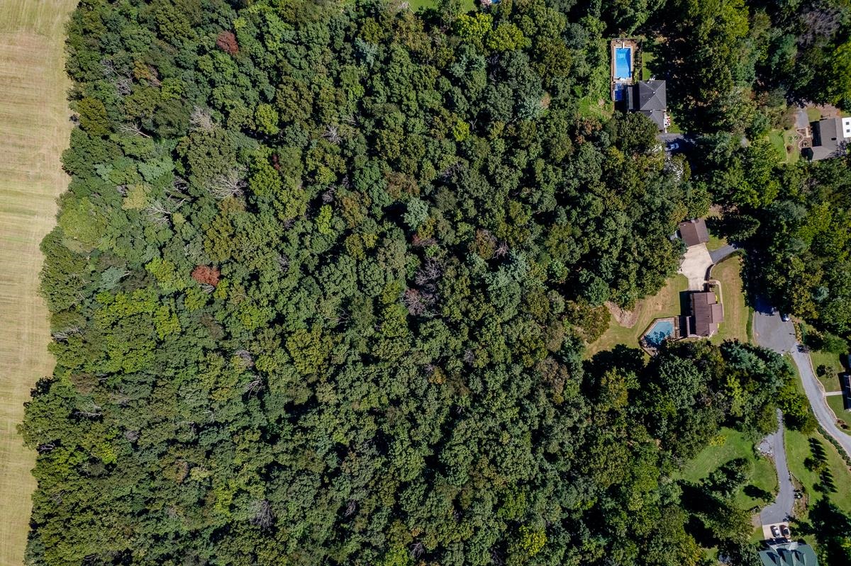 173 RIDGETOP DR