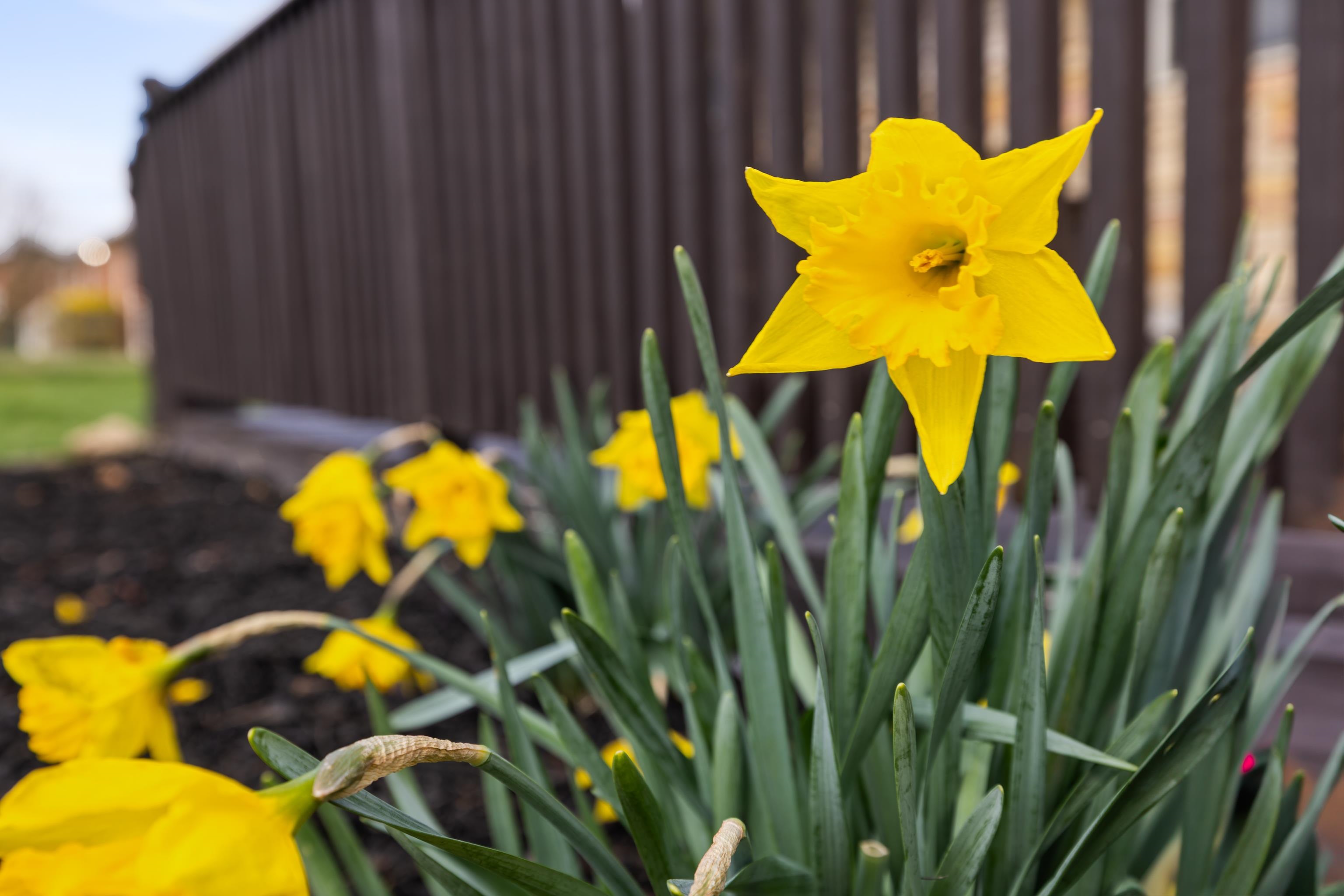 72 TINKLING SPRINGS RD