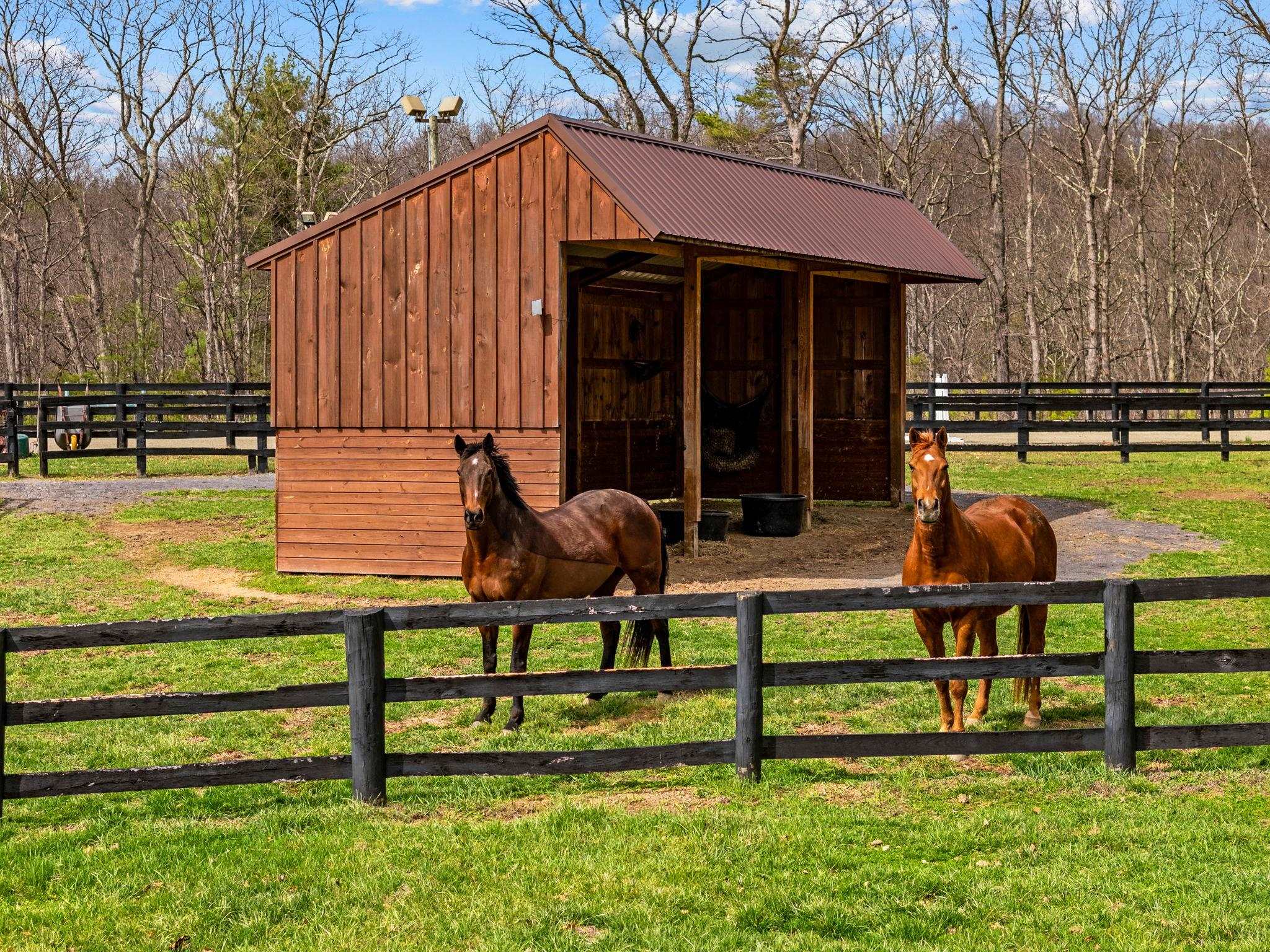 Autumn Ridge Farm