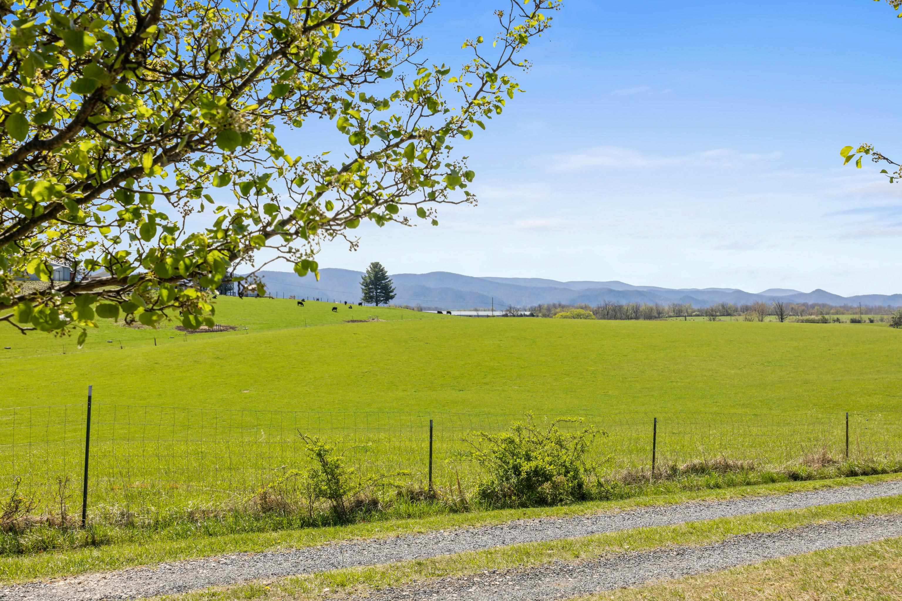 115 SPRING CROSSING LN